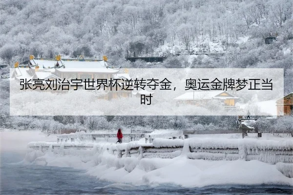 张亮刘治宇世界杯逆转夺金，奥运金牌梦正当时